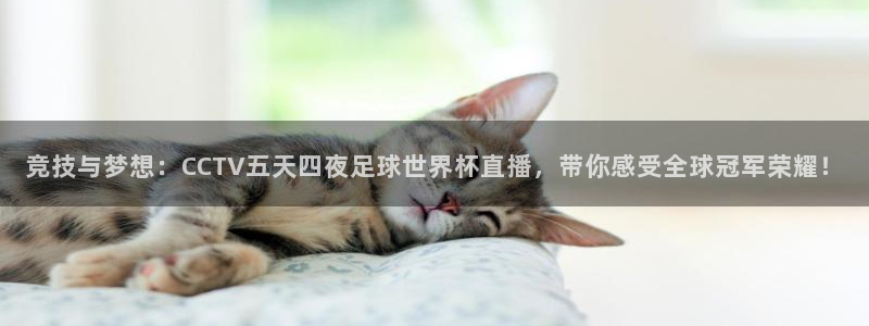 竞技与梦想：CCTV五天四夜足球世界杯直播，带你感受全球冠军荣耀！