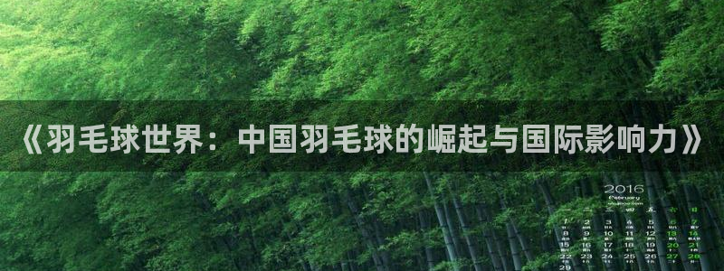 《羽毛球世界：中国羽毛球的崛起与国际影响力》