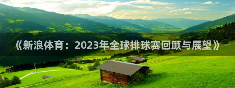 《新浪体育：2023年全球排球赛回顾与展望》
