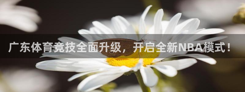 广东体育竞技全面升级，开启全新NBA模式！