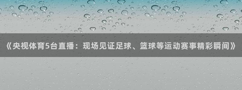 《央视体育5台直播：现场见证足球、篮球等运动赛事精彩瞬间》