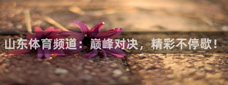 山东体育频道：巅峰对决，精彩不停歇！