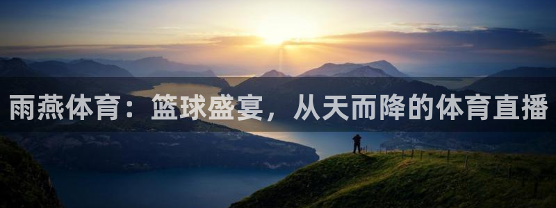 雨燕体育：篮球盛宴，从天而降的体育直播