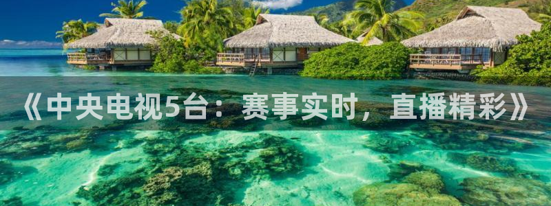 《中央电视5台：赛事实时，直播精彩》