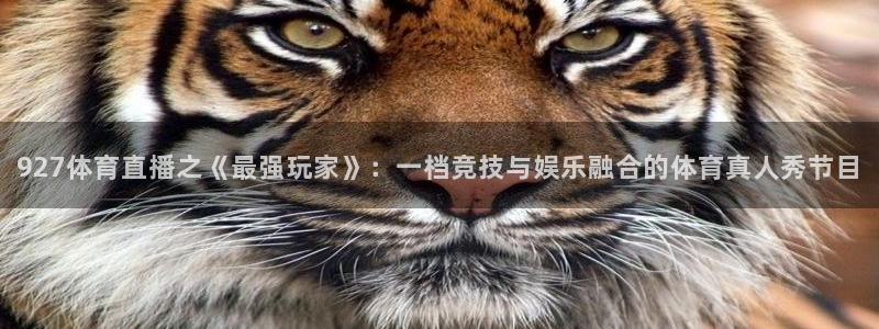 927体育直播之《最强玩家》：一档竞技与娱乐融合的体育真人秀节目