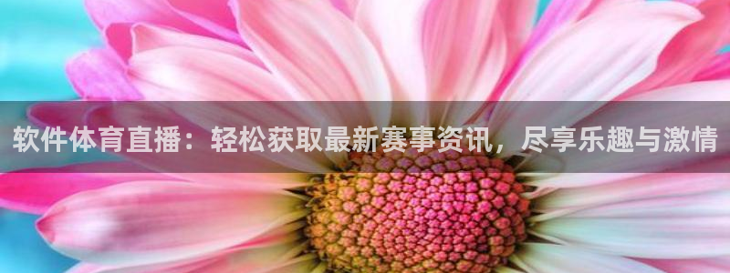 软件体育直播：轻松获取最新赛事资讯，尽享乐趣与激情