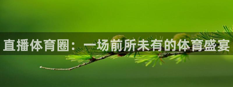 直播体育圈：一场前所未有的体育盛宴