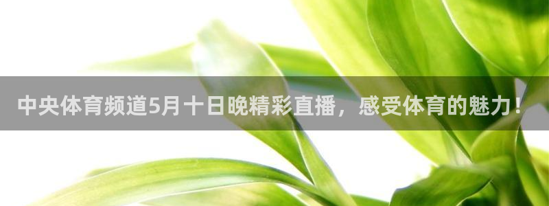 中央体育频道5月十日晚精彩直播，感受体育的魅力！
