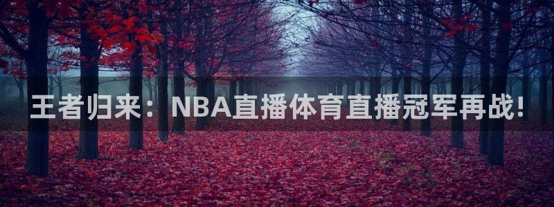 王者归来：NBA直播体育直播冠军再战!