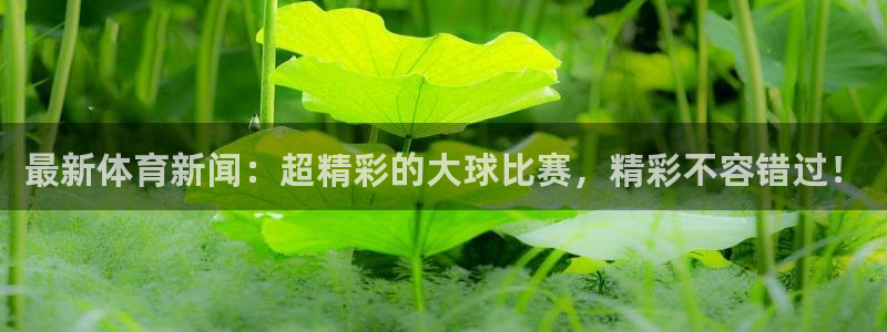 最新体育新闻：超精彩的大球比赛，精彩不容错过！