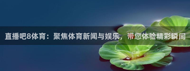 直播吧8体育：聚焦体育新闻与娱乐，带您体验精彩瞬间
