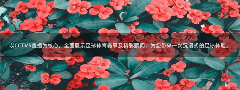 以CCTV5直播为核心，全面展示足球体育赛事及精彩瞬间，为您带来一次沉浸式的足球体验。